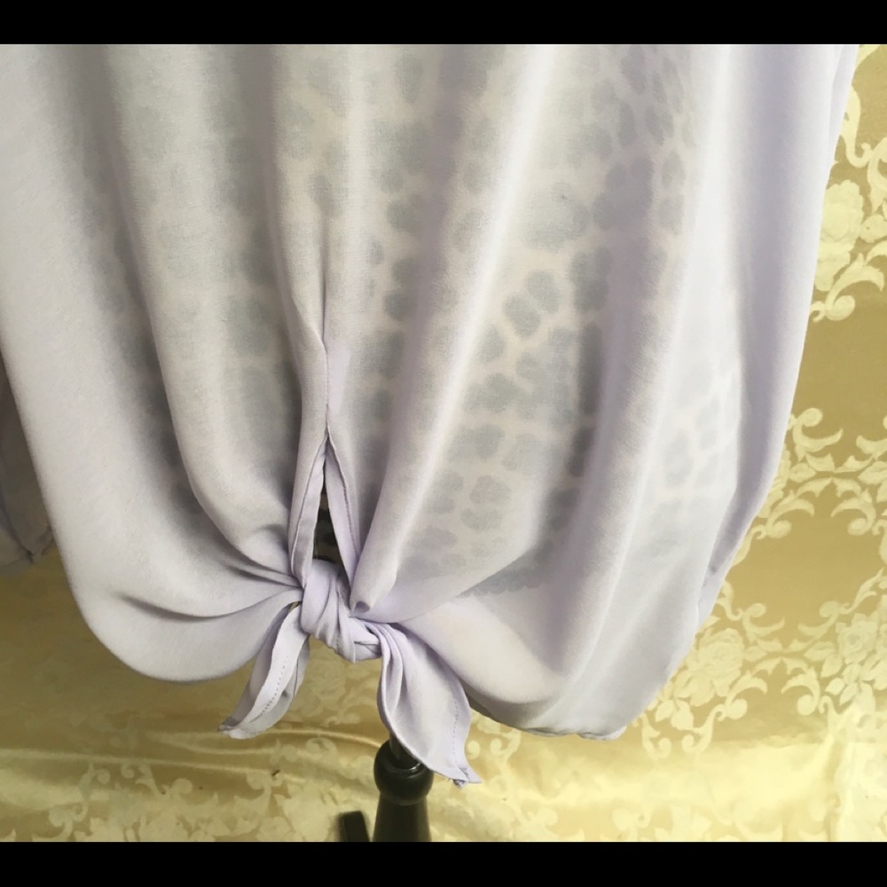 Sheer Blouse - image 4